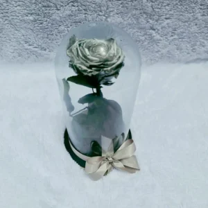 Rosa Preservada