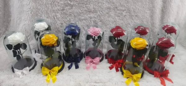 Rosas preservadas