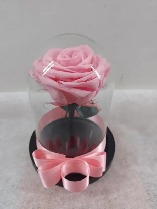Rosa preservada rosada