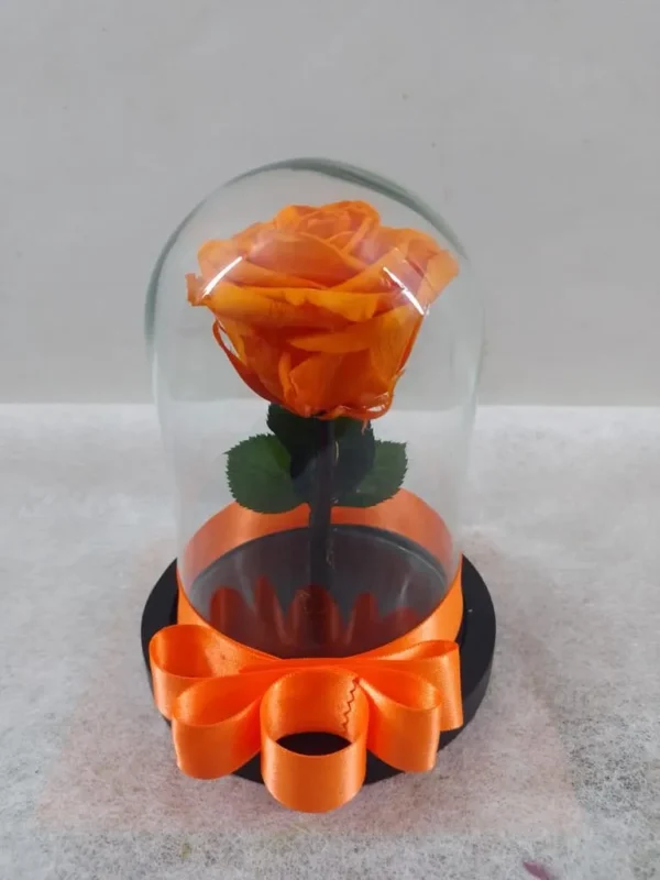 Rosa preservada naranja