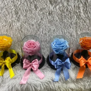 Rosas preservadas