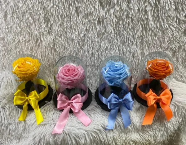Rosas preservadas