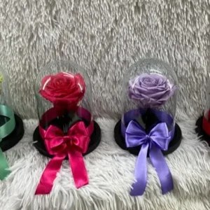 Rosas preservadas