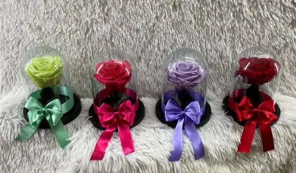 Rosas preservadas