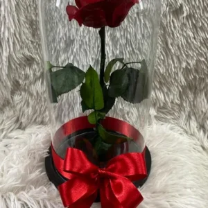 Rosa Preservada Roja