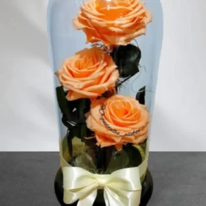 3 Rosas preservadas