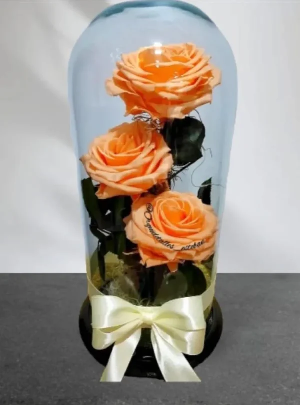 3 Rosas preservadas