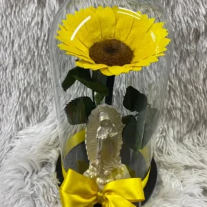 Girasol preservado