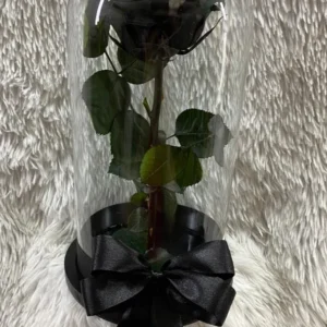 Rosa preservada negra