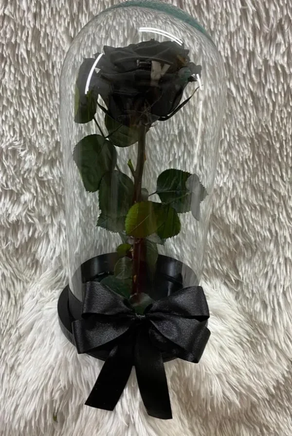 Rosa preservada negra