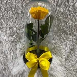 Rosa preservada amarilla