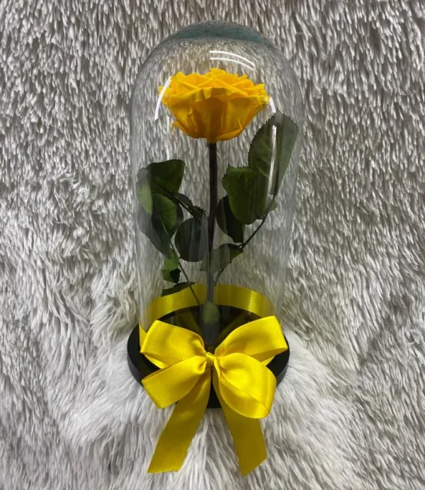 Rosa preservada amarilla