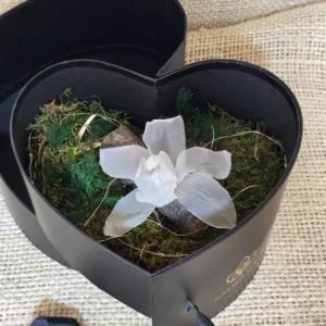 Caja corazon con orquidea